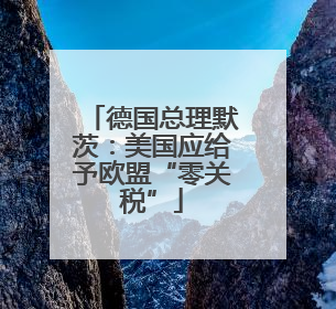 德国总理默茨：美国应给予欧盟“零关税”
