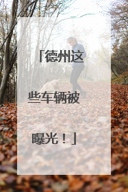 德州这些车辆被曝光！