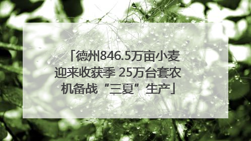 德州846.5万亩小麦迎来收获季 25万台套农机备战“三夏”生产
