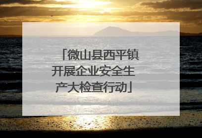 微山县西平镇开展企业安全生产大检查行动