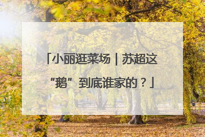 小丽逛菜场｜苏超这“鹅”到底谁家的？