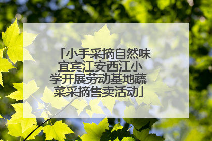 小手采摘自然味 宜宾江安西江小学开展劳动基地蔬菜采摘售卖活动
