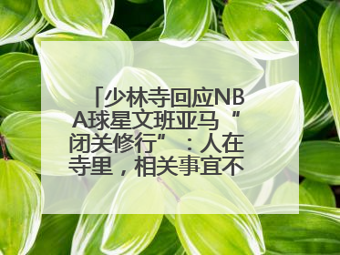 少林寺回应NBA球星文班亚马“闭关修行”：人在寺里，相关事宜不便公开