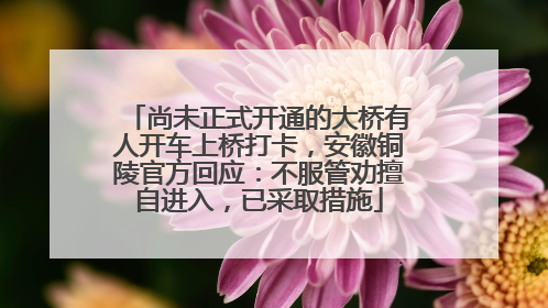 尚未正式开通的大桥有人开车上桥打卡，安徽铜陵官方回应：不服管劝擅自进入，已采取措施