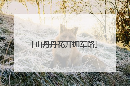 山丹丹花开拥军路