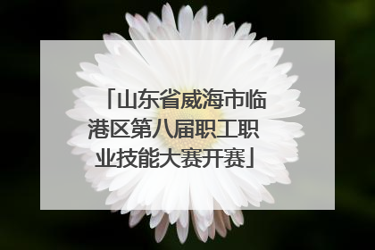 山东省威海市临港区第八届职工职业技能大赛开赛