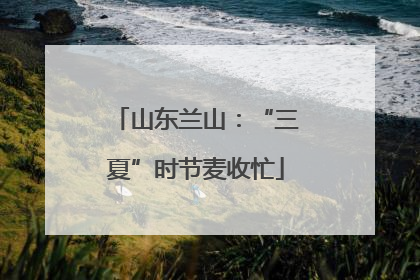 山东兰山：“三夏”时节麦收忙