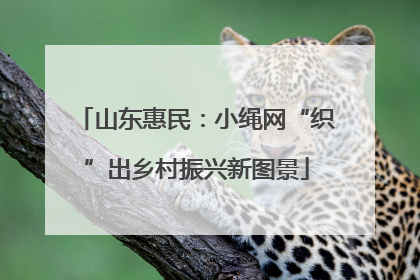 山东惠民：小绳网“织”出乡村振兴新图景