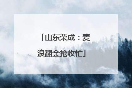山东荣成：麦浪翻金抢收忙
