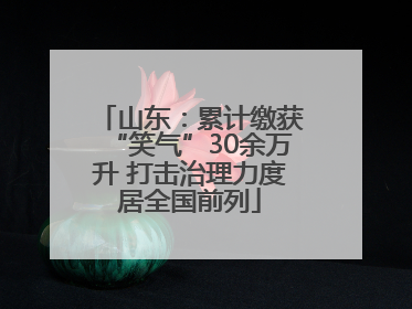 山东：累计缴获“笑气”30余万升 打击治理力度居全国前列