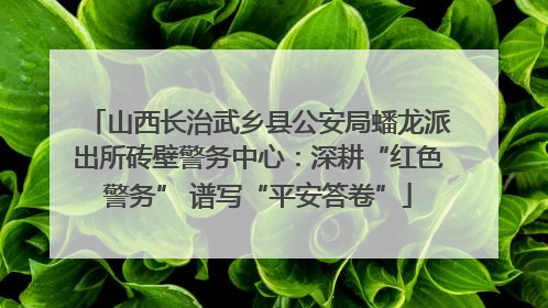 山西长治武乡县公安局蟠龙派出所砖壁警务中心：深耕“红色警务” 谱写“平安答卷”