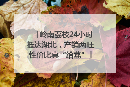 岭南荔枝24小时抵达湖北，产销两旺性价比真“给荔”