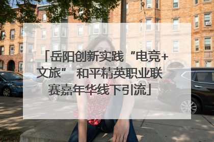 岳阳创新实践“电竞+文旅” 和平精英职业联赛嘉年华线下引流