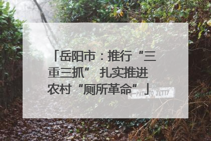 岳阳市：推行“三重三抓” 扎实推进农村“厕所革命”