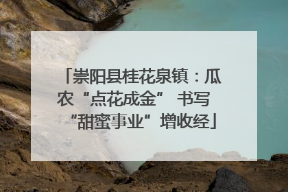 崇阳县桂花泉镇：瓜农“点花成金” 书写“甜蜜事业”增收经