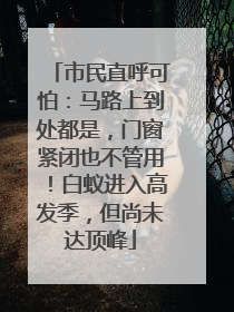 市民直呼可怕：马路上到处都是，门窗紧闭也不管用！白蚁进入高发季，但尚未达顶峰