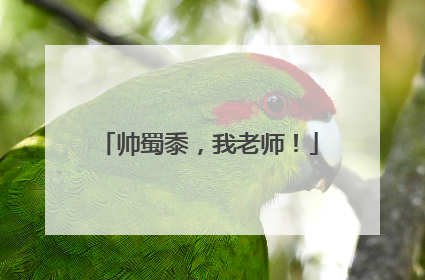 帅蜀黍，我老师！