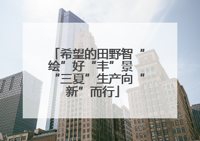 希望的田野智“绘”好“丰”景 “三夏”生产向“新”而行