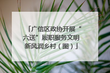 广信区政协开展“六送”履职服务文明新风润乡村（图）