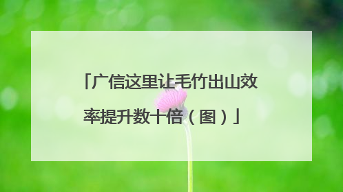广信这里让毛竹出山效率提升数十倍（图）