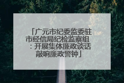 广元市纪委监委驻市经信局纪检监察组：开展集体廉政谈话 敲响廉政警钟
