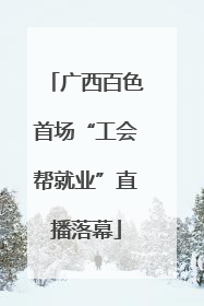 广西百色首场“工会帮就业”直播落幕