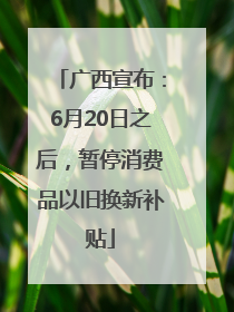 广西宣布：6月20日之后，暂停消费品以旧换新补贴