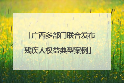 广西多部门联合发布残疾人权益典型案例