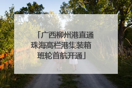 广西柳州港直通珠海高栏港集装箱班轮首航开通