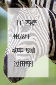 广西梧州龙圩：动车飞驰过田野
