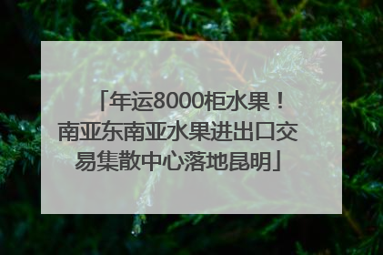 年运8000柜水果！南亚东南亚水果进出口交易集散中心落地昆明