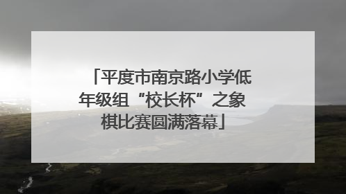 平度市南京路小学低年级组“校长杯”之象棋比赛圆满落幕