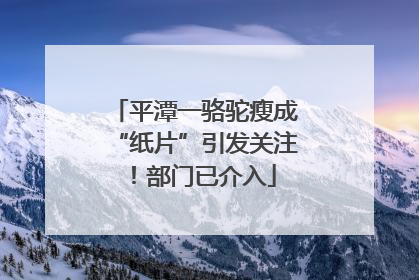 平潭一骆驼瘦成“纸片”引发关注！部门已介入