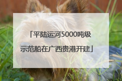 平陆运河5000吨级示范船在广西贵港开建