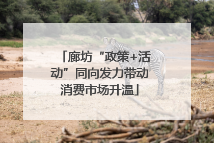 廊坊“政策+活动”同向发力带动消费市场升温