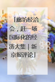 廊坊经洽会，赶一场国际化的经济大集｜新京报评论