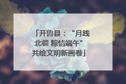 开鲁县：“月践北疆 粽情端午”共绘文明新画卷