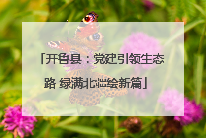 开鲁县：党建引领生态路 绿满北疆绘新篇