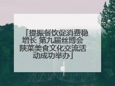 提振餐饮促消费稳增长 第九届丝博会陕菜美食文化交流活动成功举办