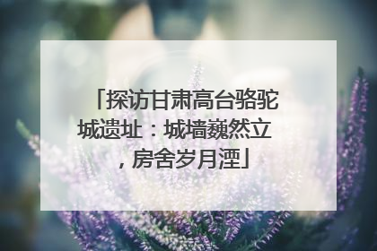 探访甘肃高台骆驼城遗址：城墙巍然立，房舍岁月湮