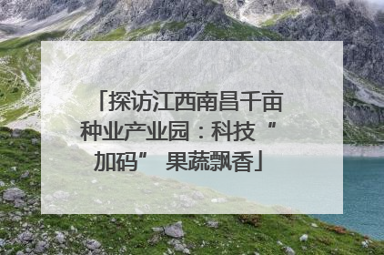 探访江西南昌千亩种业产业园：科技“加码” 果蔬飘香