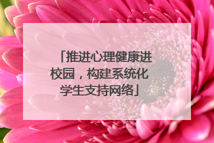 推进心理健康进校园，构建系统化学生支持网络