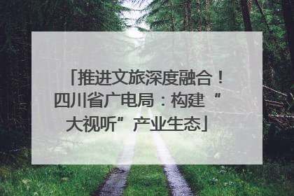 推进文旅深度融合！四川省广电局：构建“大视听”产业生态