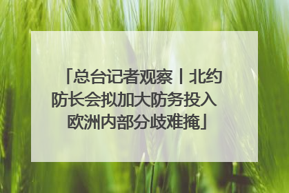 总台记者观察丨北约防长会拟加大防务投入 欧洲内部分歧难掩
