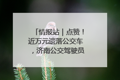 情报站｜点赞！近万元遗落公交车，济南公交驾驶员乘客接力还失主