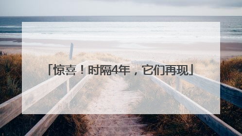 惊喜！时隔4年，它们再现