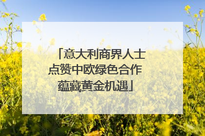意大利商界人士点赞中欧绿色合作蕴藏黄金机遇