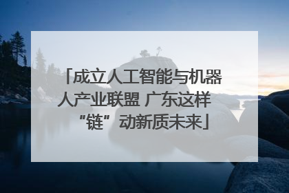 成立人工智能与机器人产业联盟 广东这样“链”动新质未来