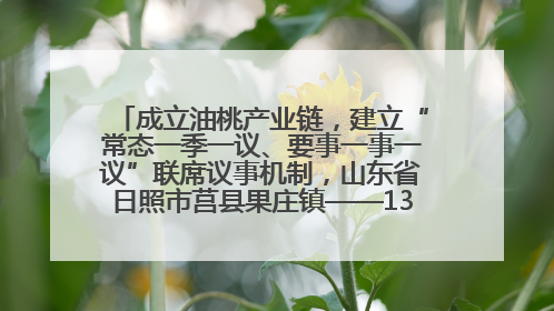 成立油桃产业链，建立“常态一季一议、要事一事一议”联席议事机制，山东省日照市莒县果庄镇——13个党小组“全周期”育果
