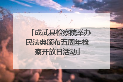 成武县检察院举办民法典颁布五周年检察开放日活动